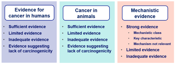 table showing the types of evidence used by IARC for classifying agents