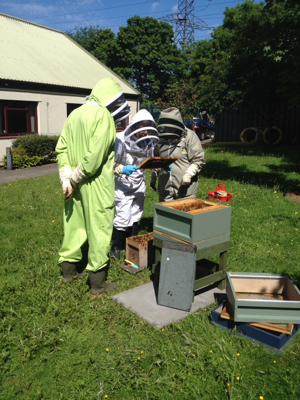 A bee hive near a substation